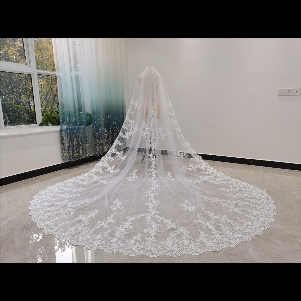 Elegant White Lace Bridal Veil